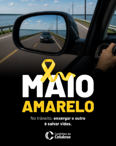 Enxergar o outro também é escolher a vida